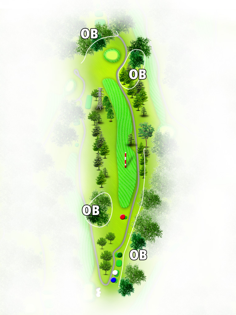 菊池カントリークラブ IN12番ホール コース図