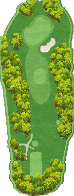 ＣＰＧカントリークラブ IN11番ホール コース図