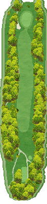 ＣＰＧカントリークラブ IN14番ホール コース図