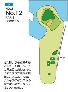 ピートダイゴルフクラブ ロイヤルコース IN12番ホール コース図