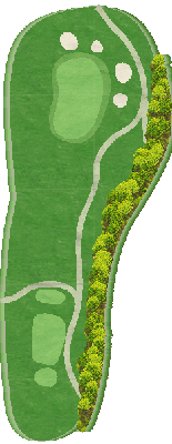 館山カントリークラブ 西コース5番ホール コース図