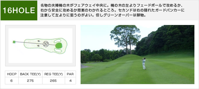 白木ゴルフ倶楽部 IN16番ホール コース図