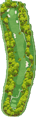 ＮＥＭＵ ＧＯＬＦ ＣＬＵＢ （旧合歓の郷ゴルフクラブ） OUT5番ホール コース図
