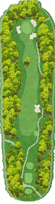 ＮＥＭＵ ＧＯＬＦ ＣＬＵＢ （旧合歓の郷ゴルフクラブ） OUT7番ホール コース図