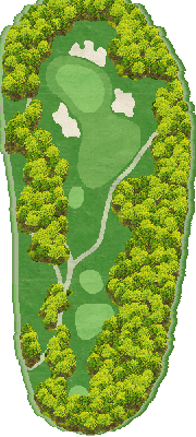 ＮＥＭＵ ＧＯＬＦ ＣＬＵＢ （旧合歓の郷ゴルフクラブ） IN4番ホール コース図