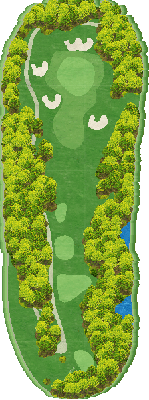 ＮＥＭＵ ＧＯＬＦ ＣＬＵＢ （旧合歓の郷ゴルフクラブ） IN8番ホール コース図