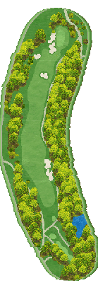 ＮＥＭＵ ＧＯＬＦ ＣＬＵＢ （旧合歓の郷ゴルフクラブ） IN9番ホール コース図