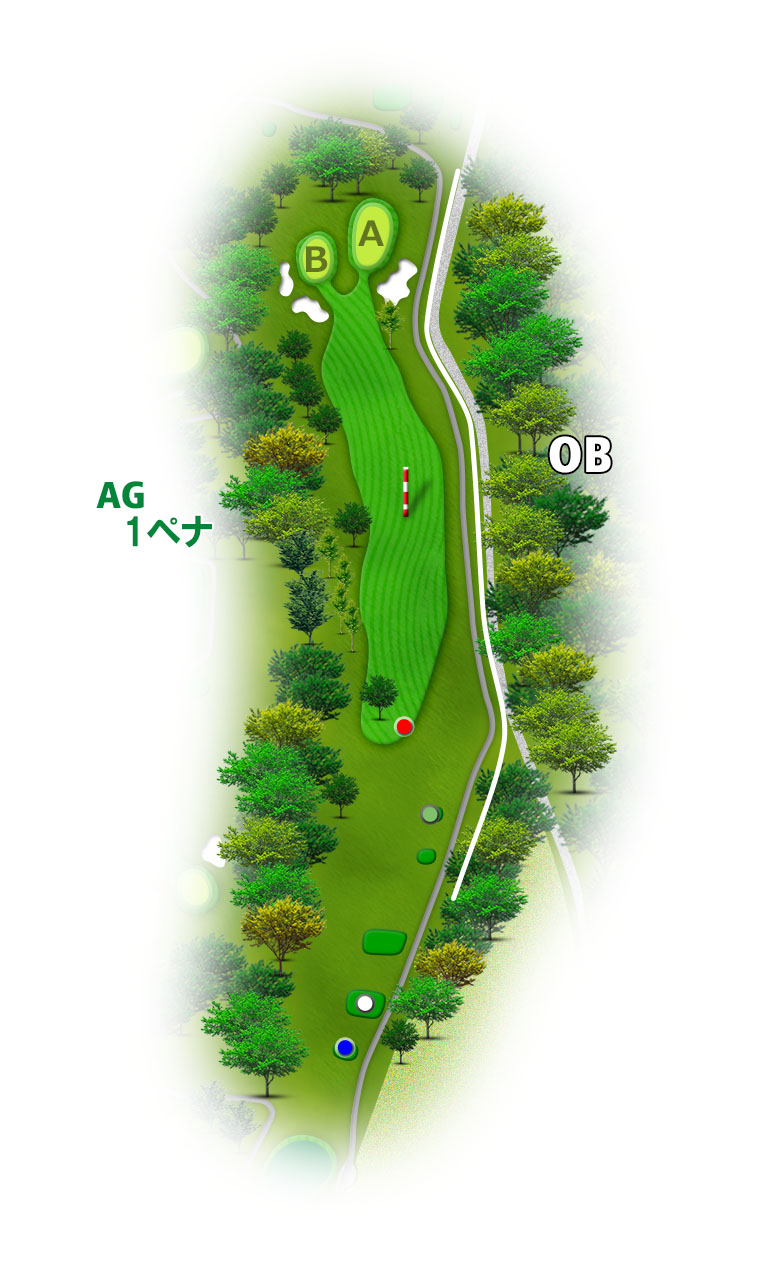 愛鷹シックスハンドレッドクラブ IN10番ホール コース図