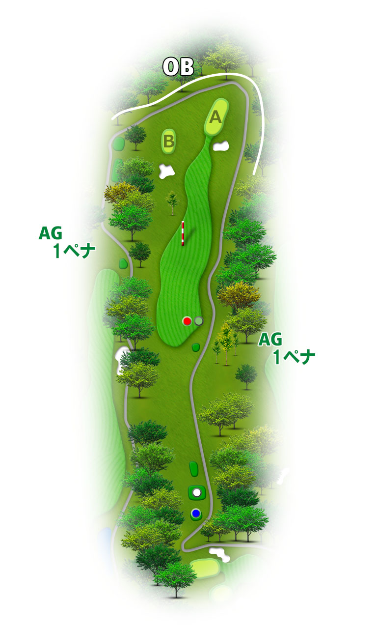 愛鷹シックスハンドレッドクラブ IN17番ホール コース図