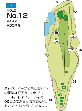 総丘カントリー倶楽部 IN12番ホール コース図