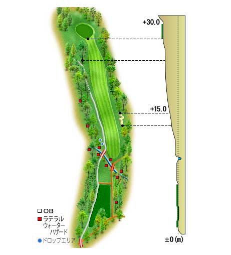 富士カントリークラブ IN17番ホール コース図